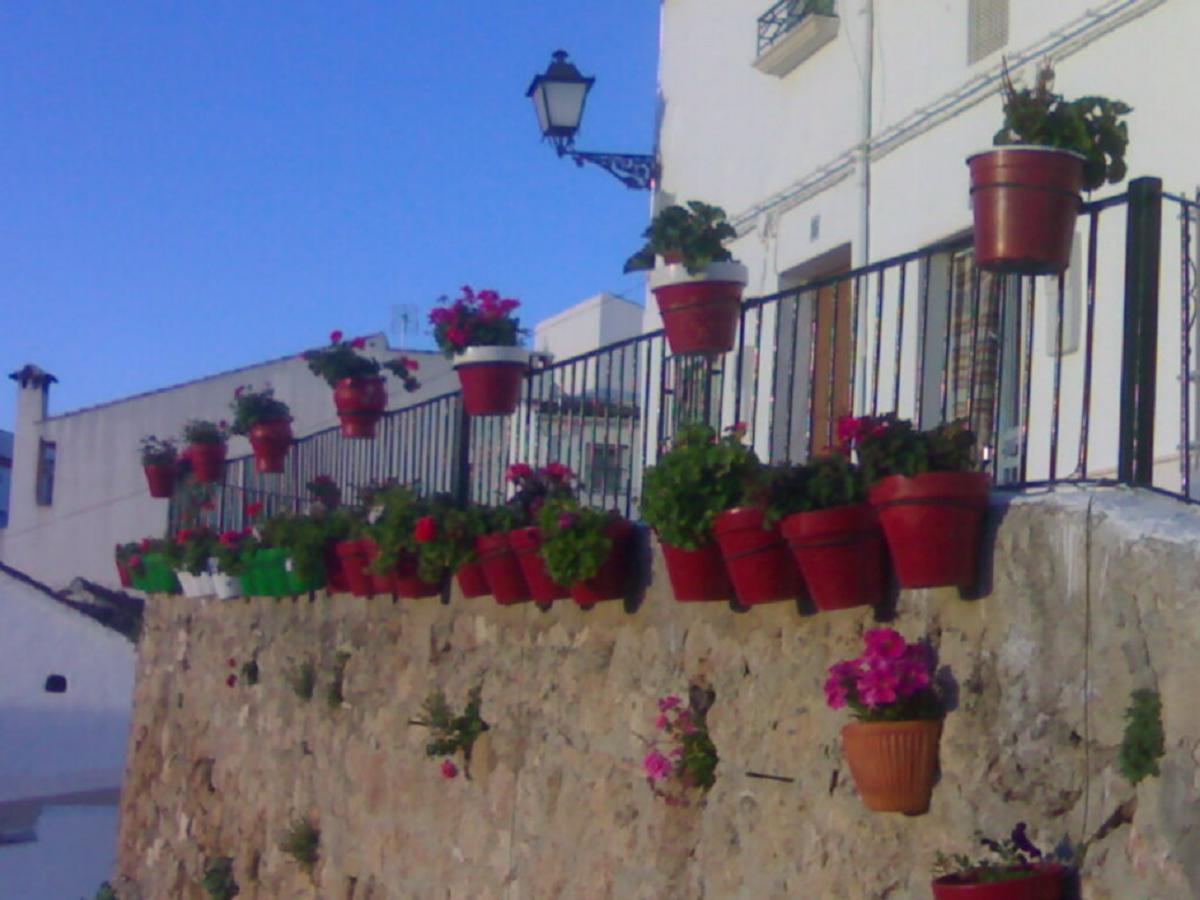 Vila Casilla Dalea En Carcabuey, Descubre El Interior De Andalucia Exteriér fotografie