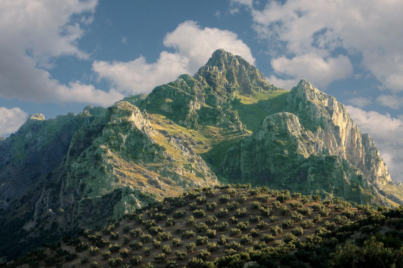 Vila Casilla Dalea En Carcabuey, Descubre El Interior De Andalucia Exteriér fotografie